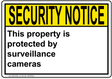 ANSI This property is protected by surveillance cameras 