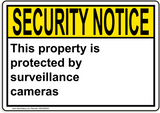 ANSI This property is protected by surveillance cameras 