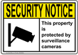ANSI This property is protected by surveillance cameras with Video Survelliance Emblem